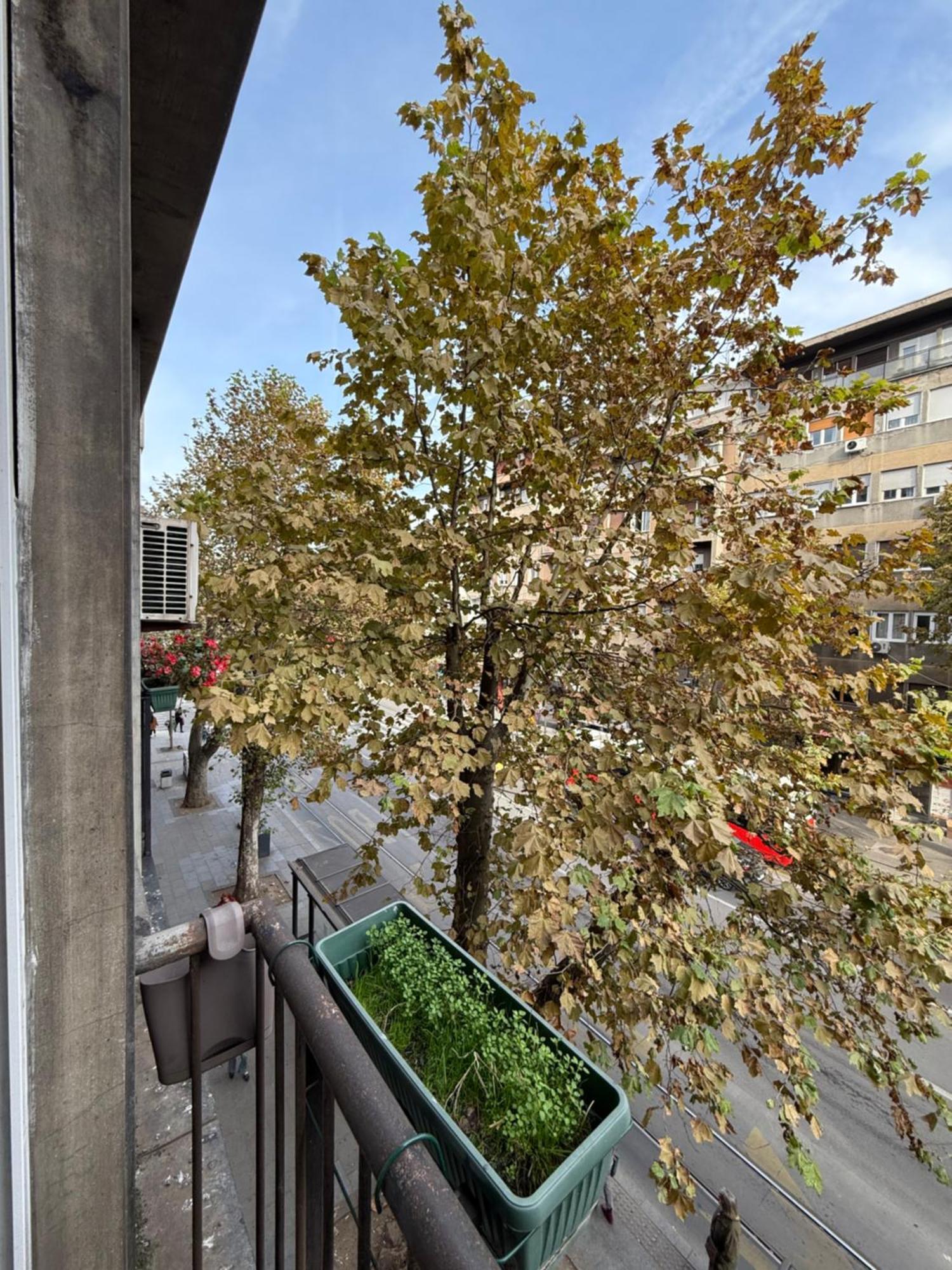 Apartment, Stari Grad, ベオグラード エクステリア 写真